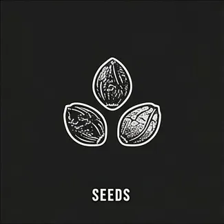 SEEDS